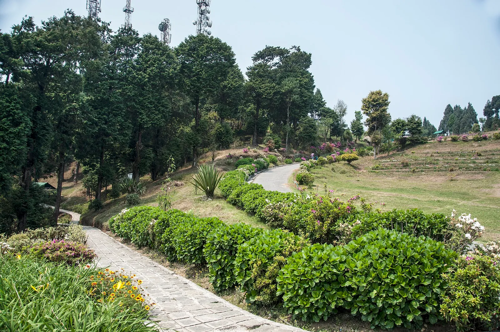 Garden paths on Deolo Hill, Kalimpong