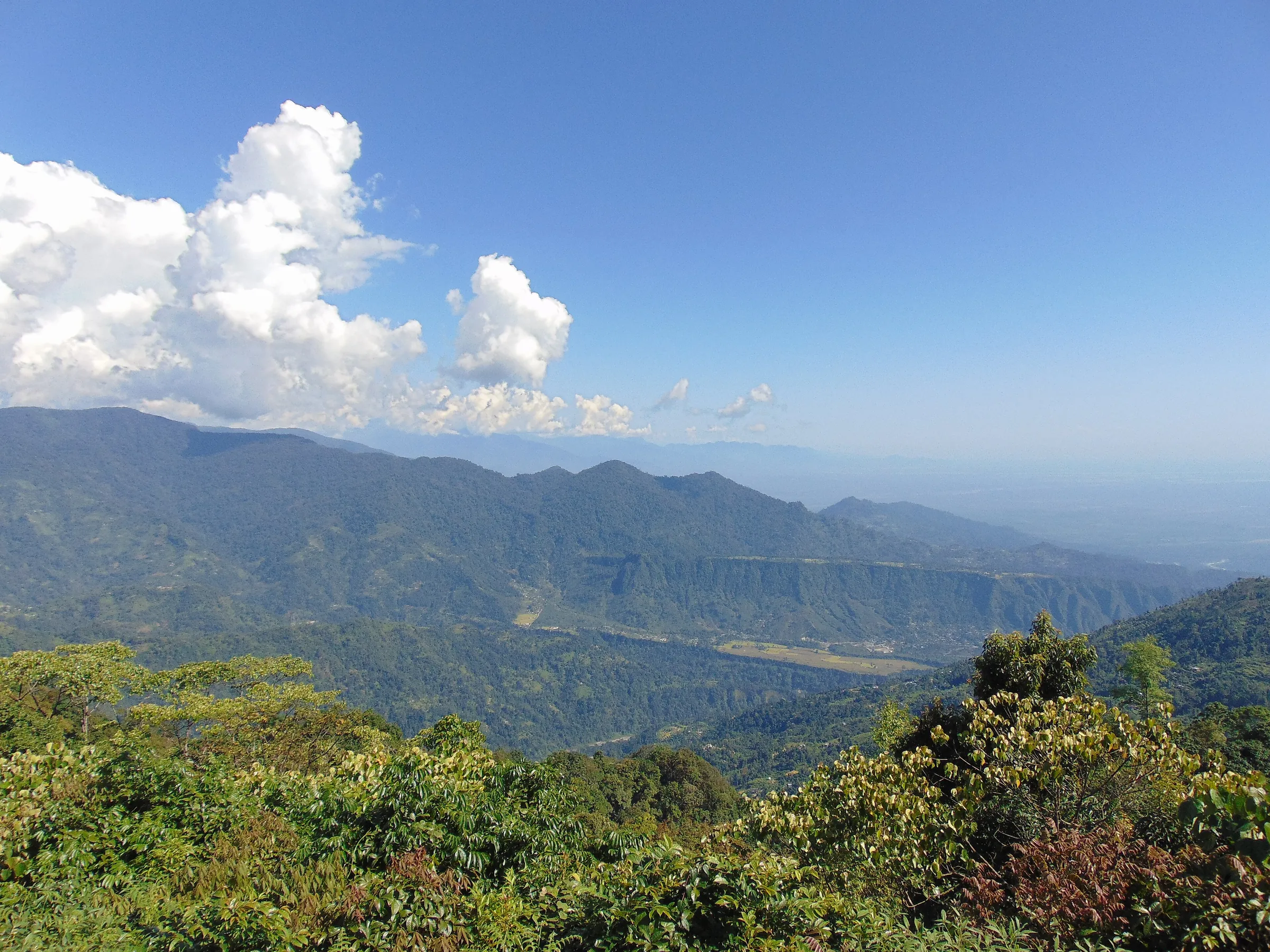 Forested hills and valley seen from Jhandi, Kalimpong