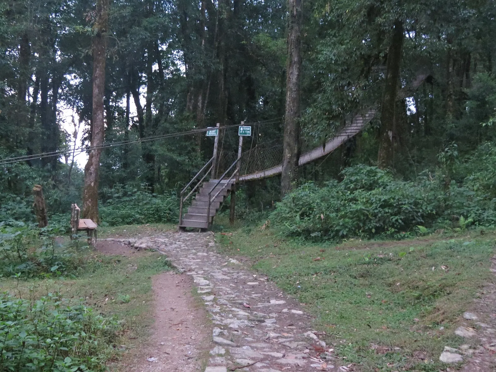 Forest trail and canopy walk at Lolegaon