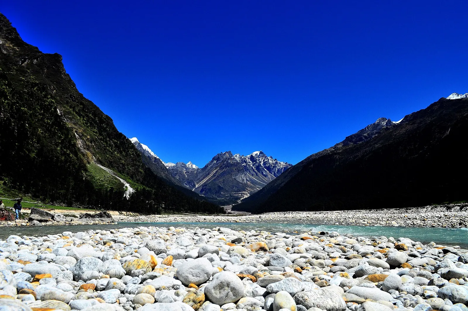 Pebbled riverbed and snow peaks in Yumthang Valley